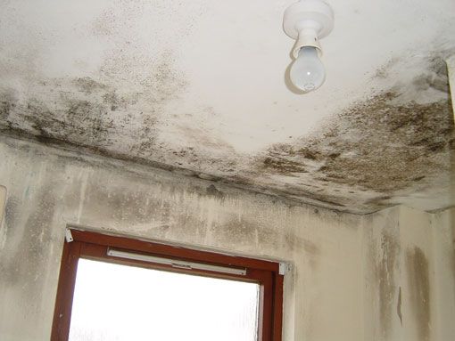 Técnico Murprotec aplicando tratamiento antihumedad en pared interior con equipo profesional