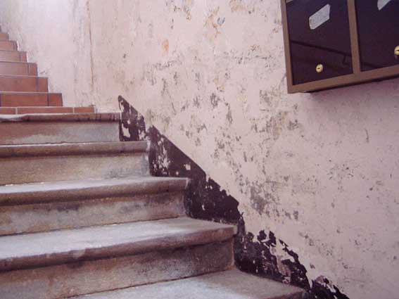 Humedades por capilaridad en muro de construcción — Murprotec solución