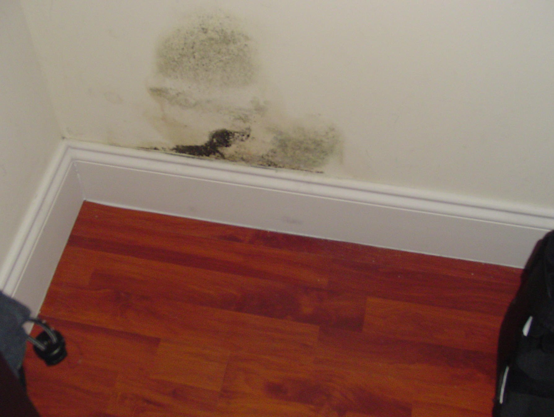 Humedades en pared interior con manchas y salitre – tratamiento profesional Murprotec