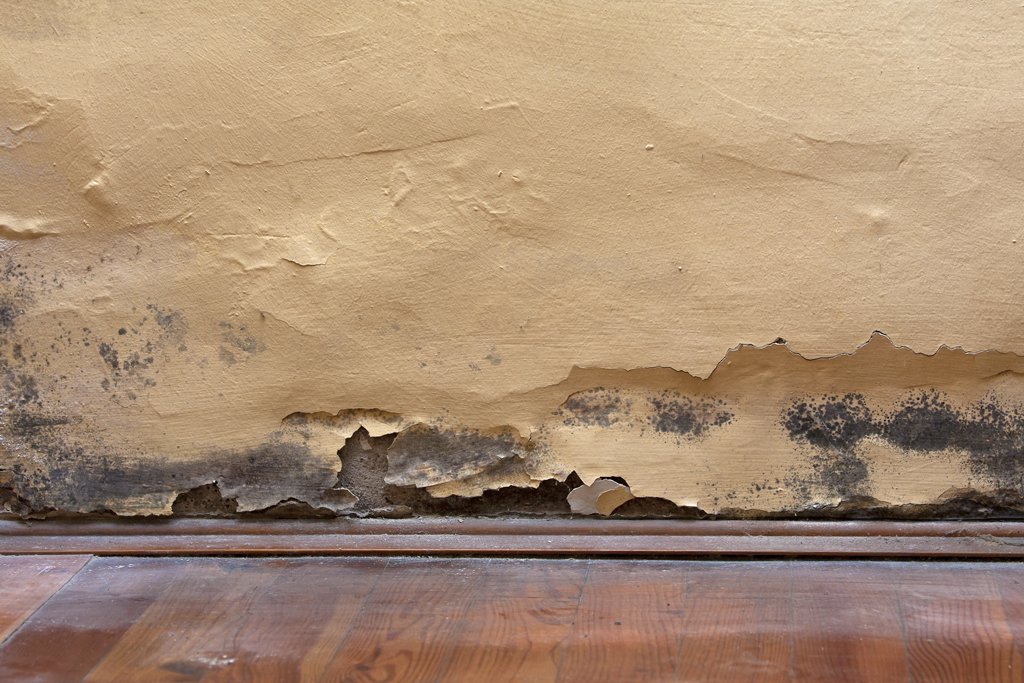 Humedades vivienda Murprotec