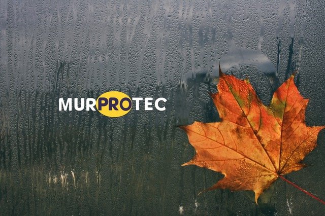 autumn maple leaf on wet window, rain, cold weather