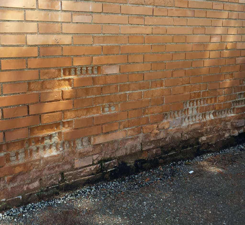 Capilaridad en pared