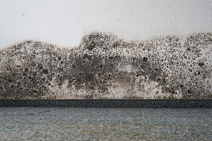 Murprotec: tratamiento profesional contra humedades en vivienda y muros