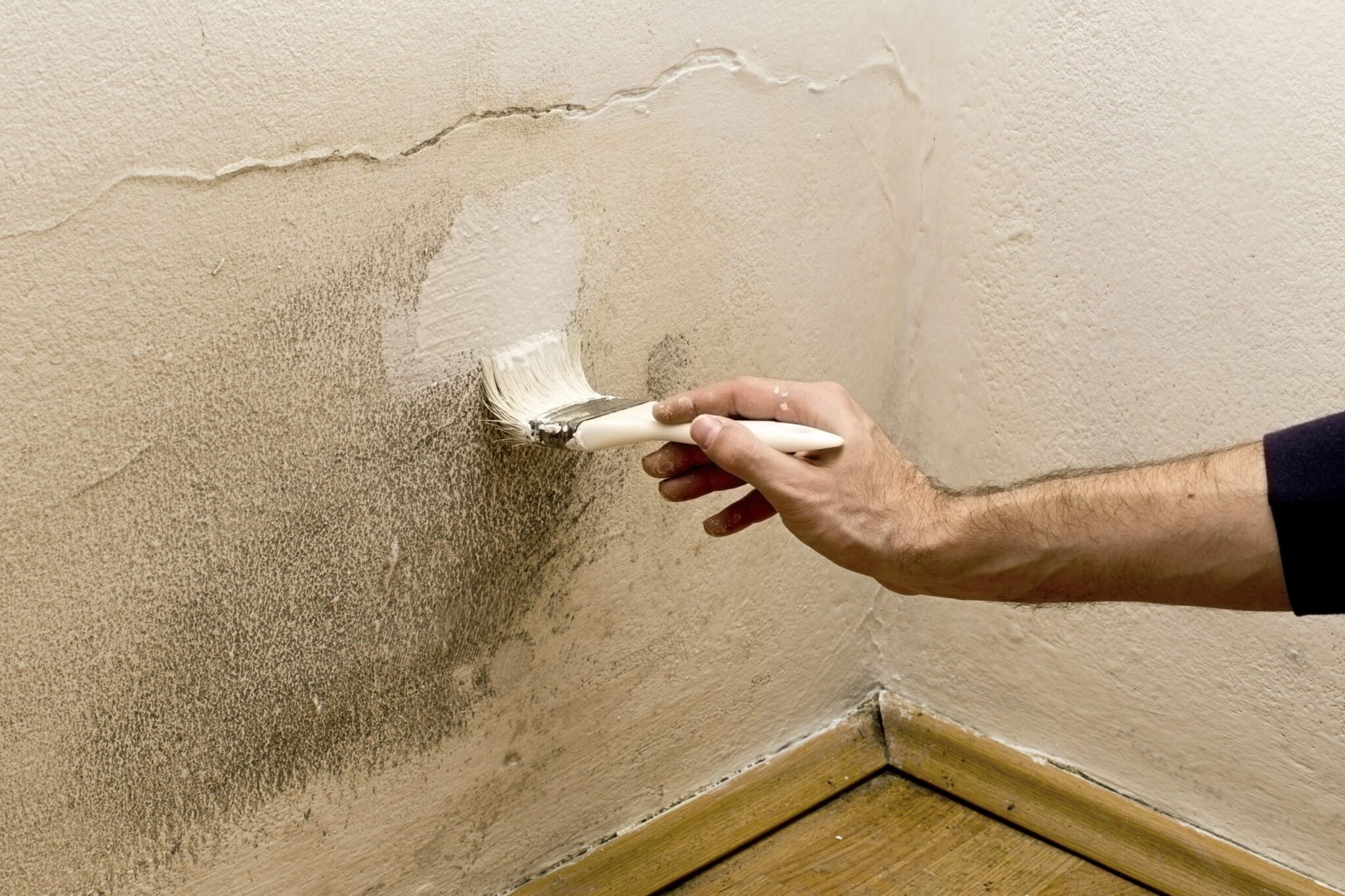 Pared con manchas de humedad y rodillo pintando — tratamiento de humedades Murprotec