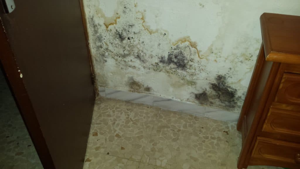 Técnico Murprotec tratando humedad en pared: diagnóstico y tratamiento profesional
