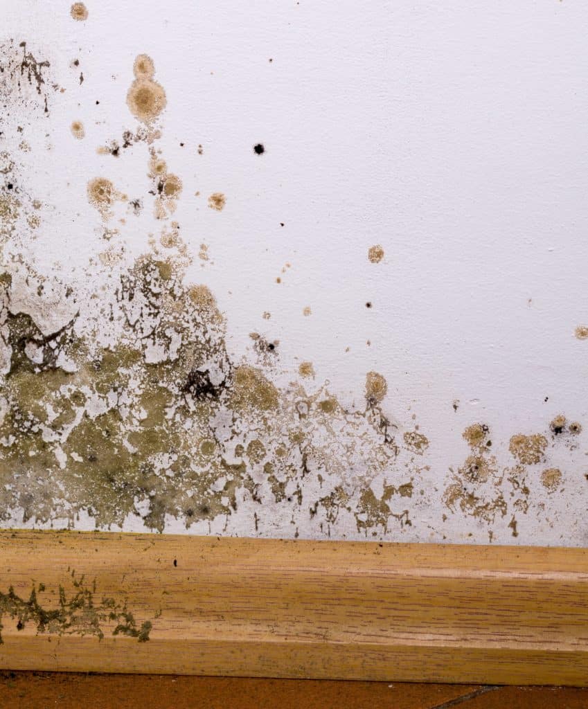 Técnico Murprotec inspeccionando humedades en vivienda, especialista en impermeabilización