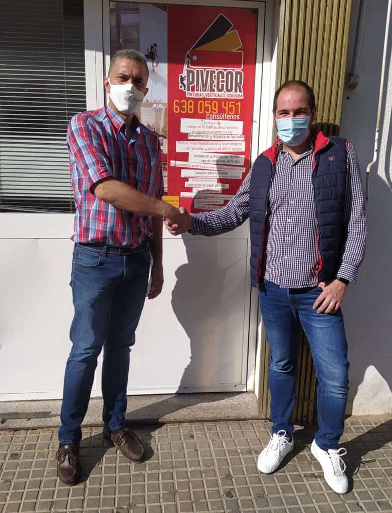 Mosquito gigante sobre pared húmeda: señal de humedad y plagas – Murprotec