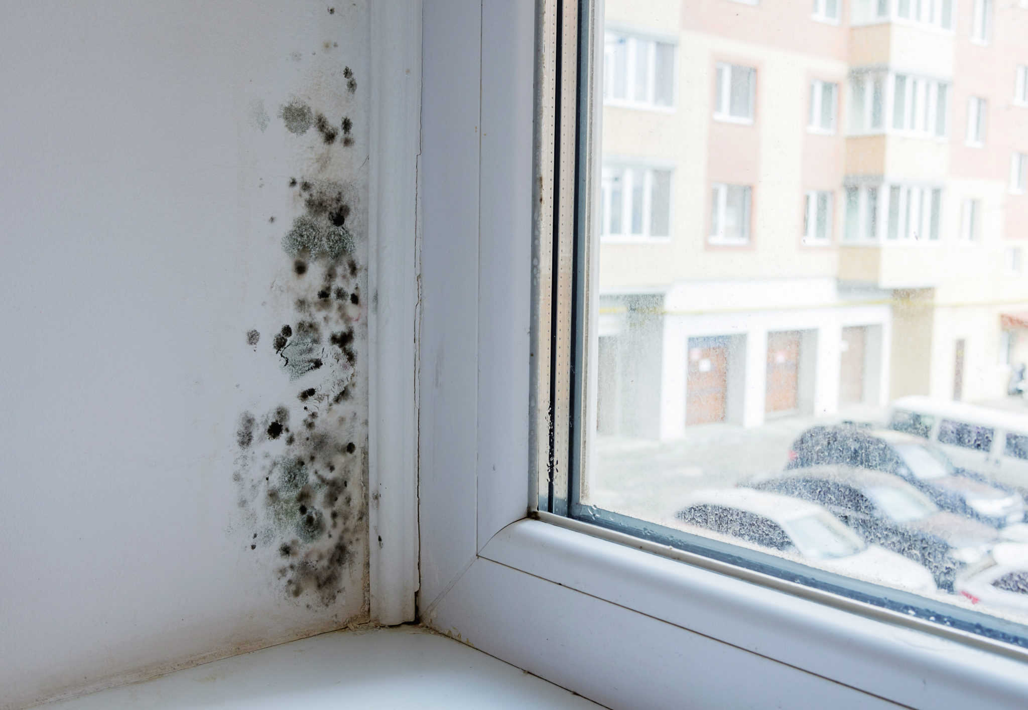 Black mould and fungus on wall near window. The problem of ventilation, dampness, cold in the apartment.