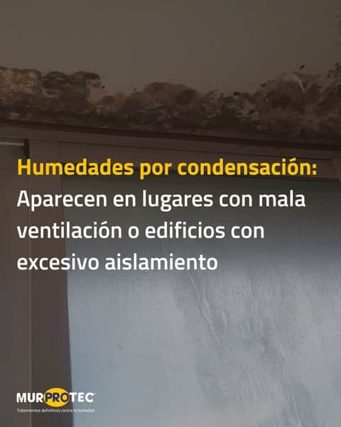 humedades en edificio
