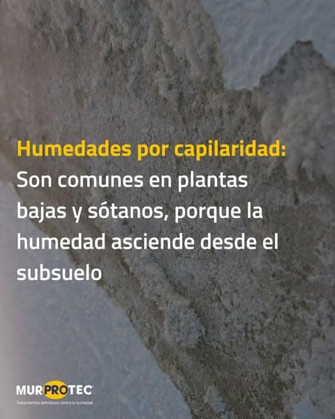 humedades en edificio