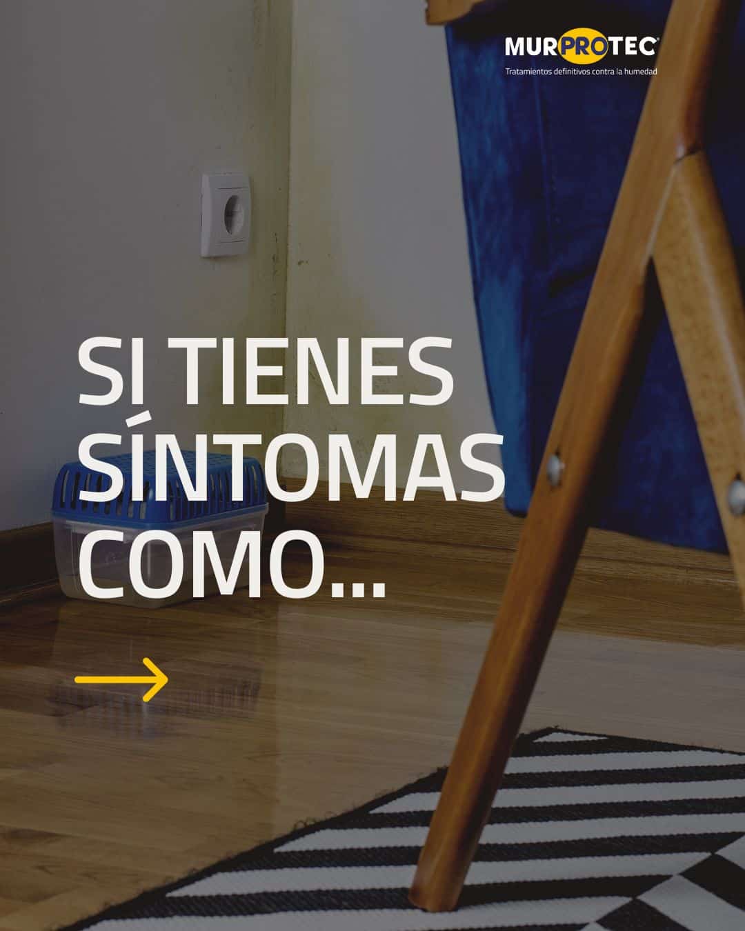 Humedad en el hogar y el desarrollo de la bronquiolitis