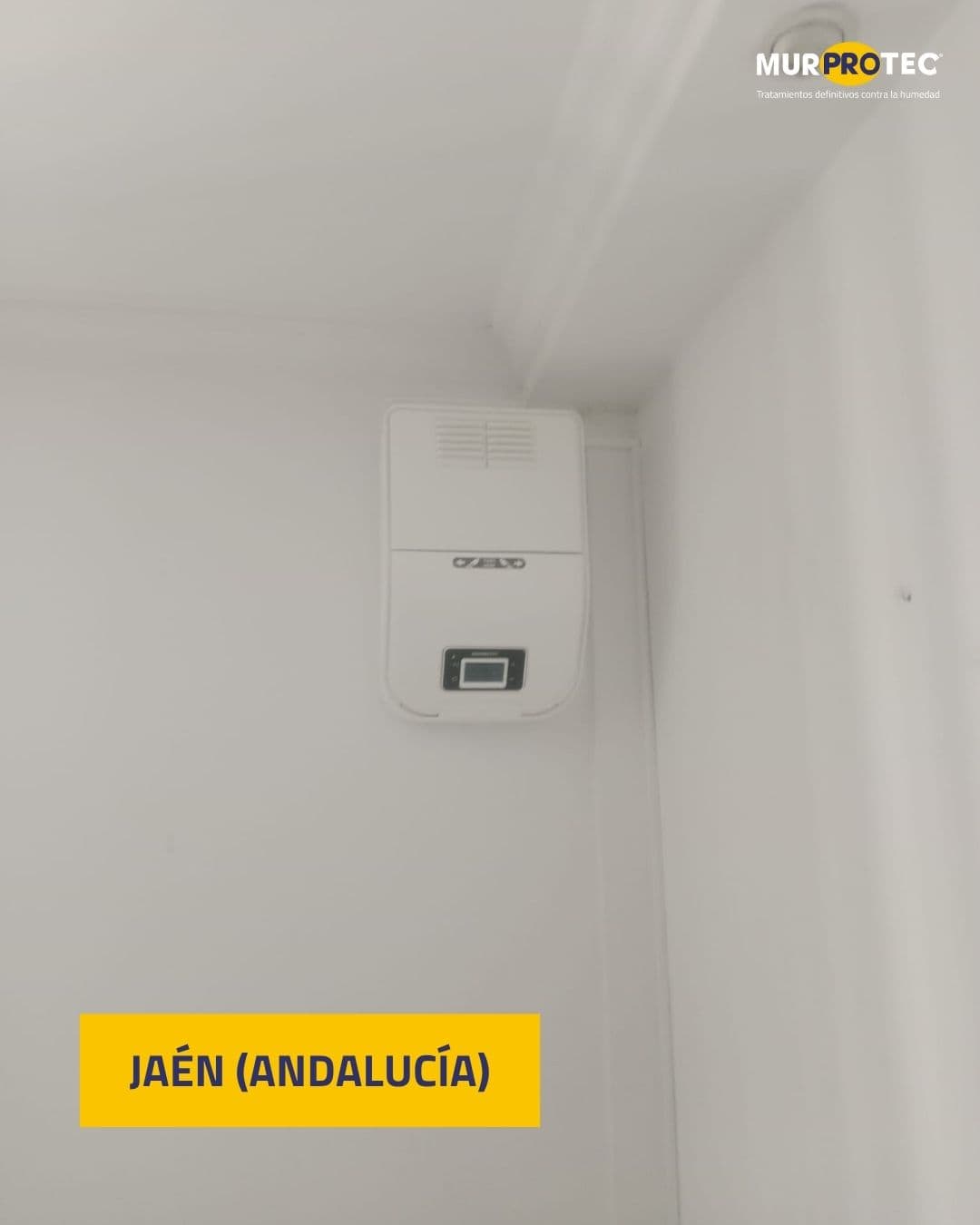 eliminar humedad estructural Jaén