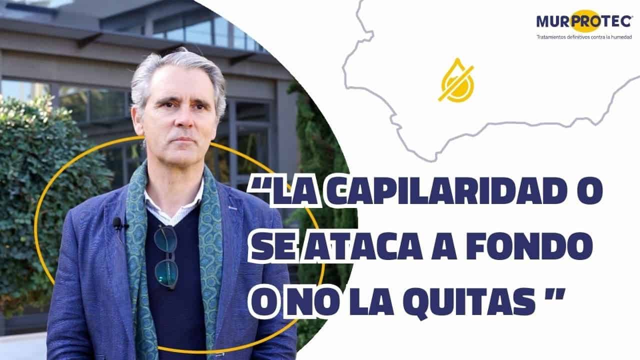 Qué tipos de humedades encontramos en Sevilla