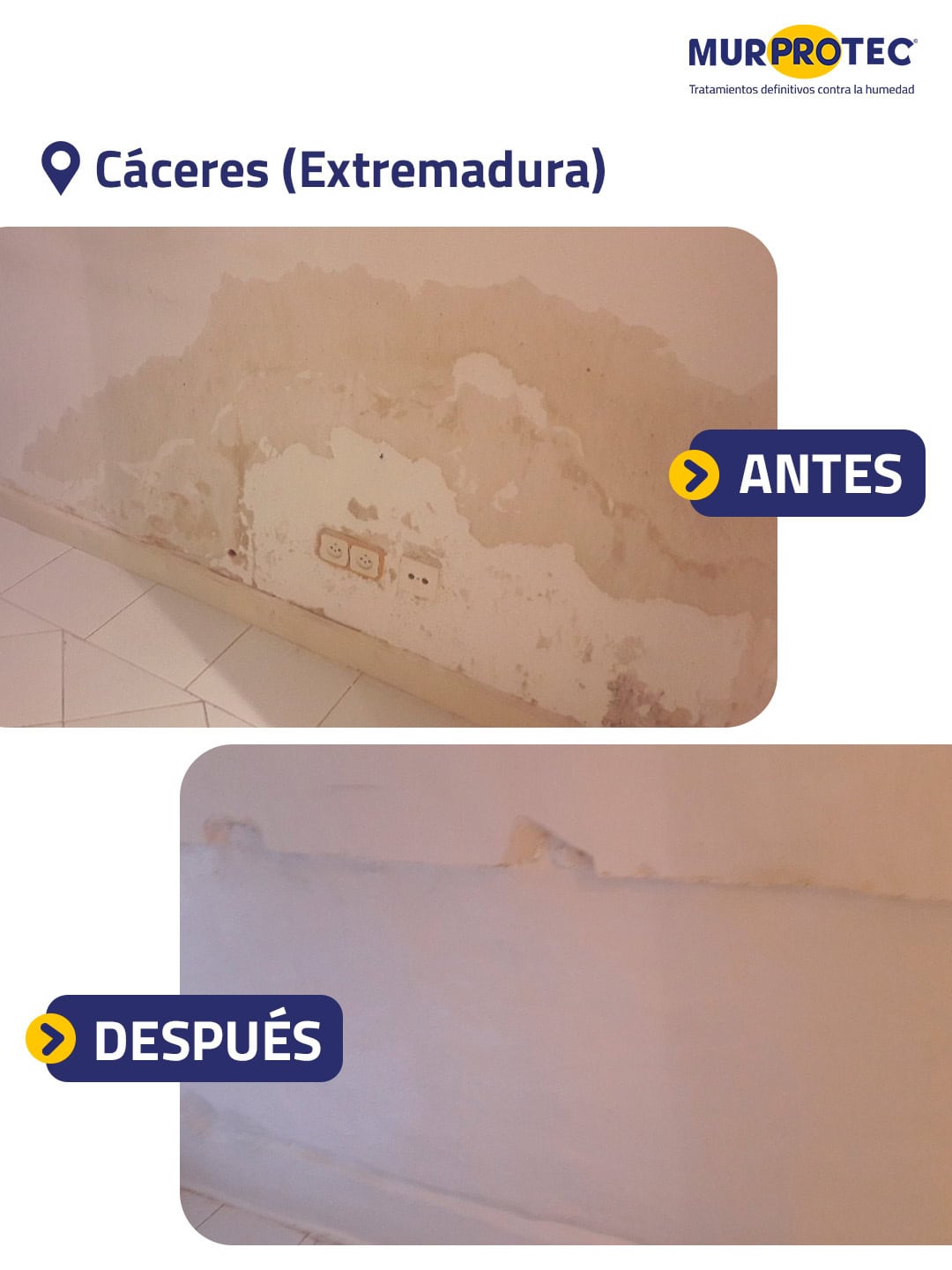 tratamiento definitivo para la humedad