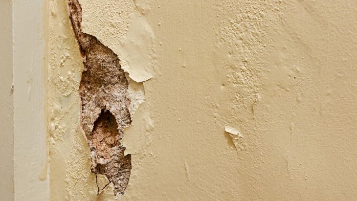 Consecuencias en la pared por no solucionar humedades antes de reformar la vivienda.