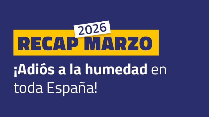 tratamiento definitivo para la humedad