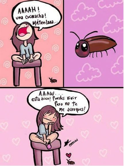 Humedad Cucaracha