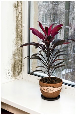image002